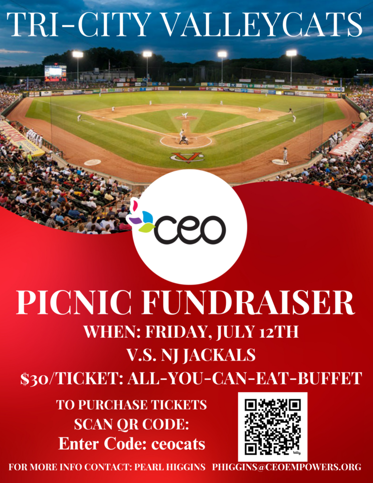 ValleyCats Picnic Fundraiser